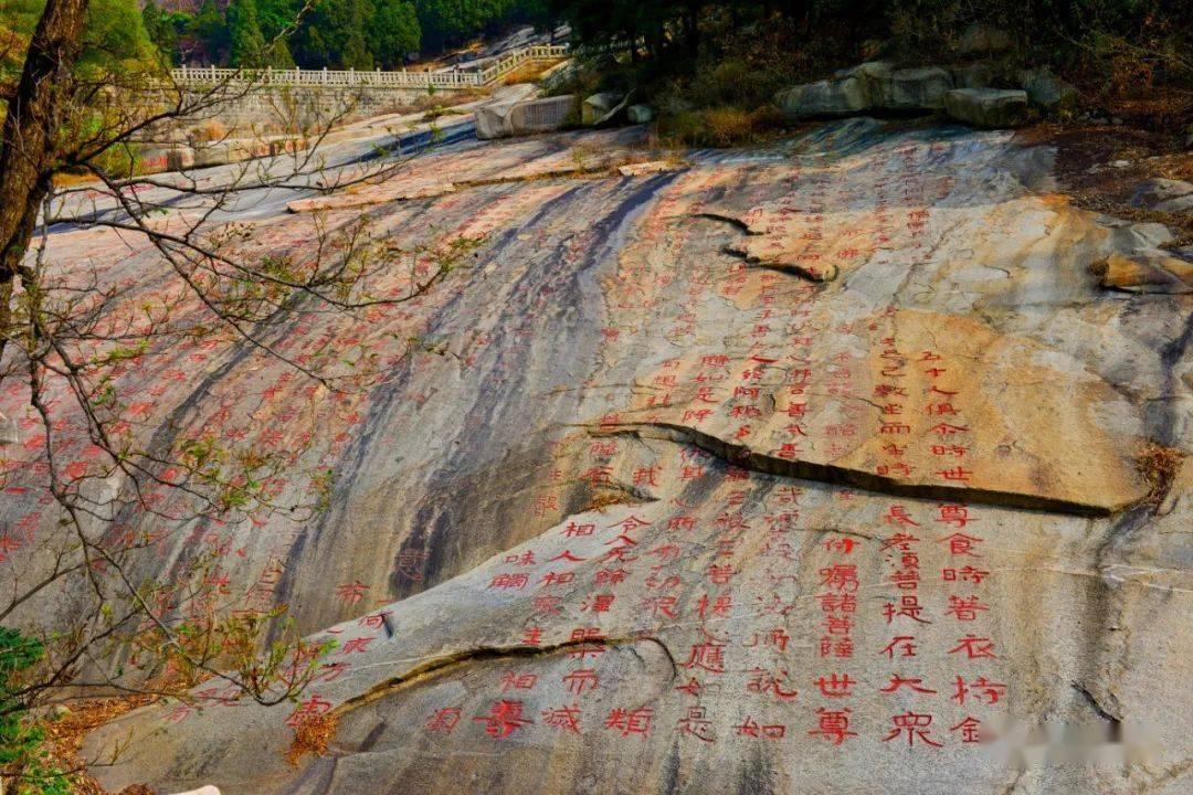 小猫钓鱼开船版最新版下载